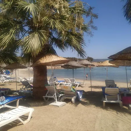 Horizon Sky Cherry 12 * Kıyıkıslacık