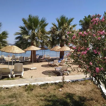 Horizon Sky Cherry 12 Kıyıkıslacık